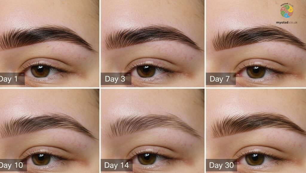 How Long Does Microblading Take to Heal? How Long Does Microblading Take to Heal?