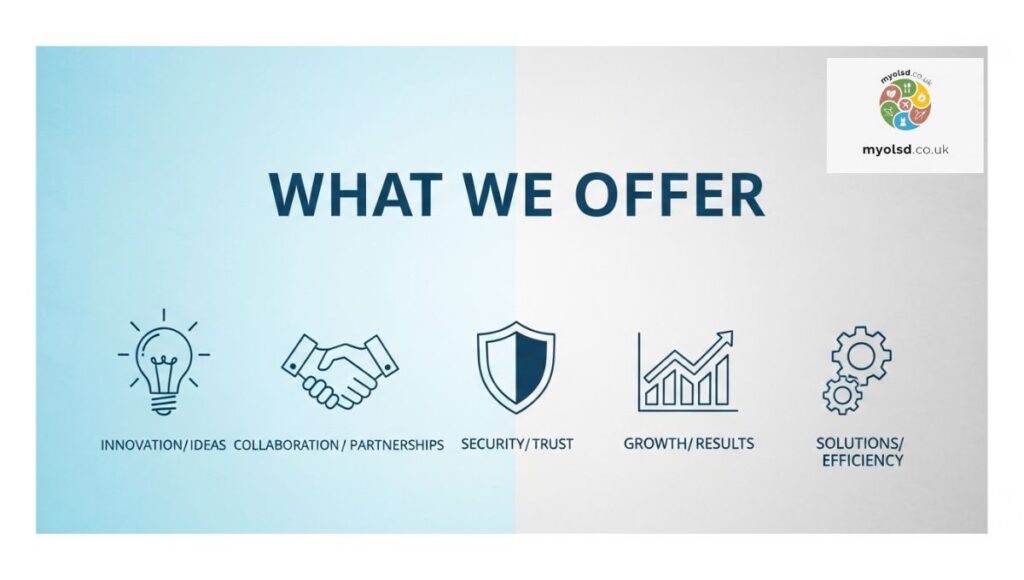 What We Offer