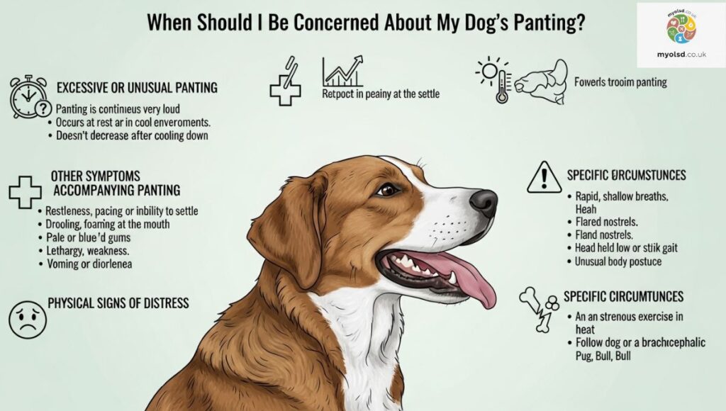 When Should I Be Concerned About My Dog's Panting? When Should I Be Concerned About My Dog's Panting?