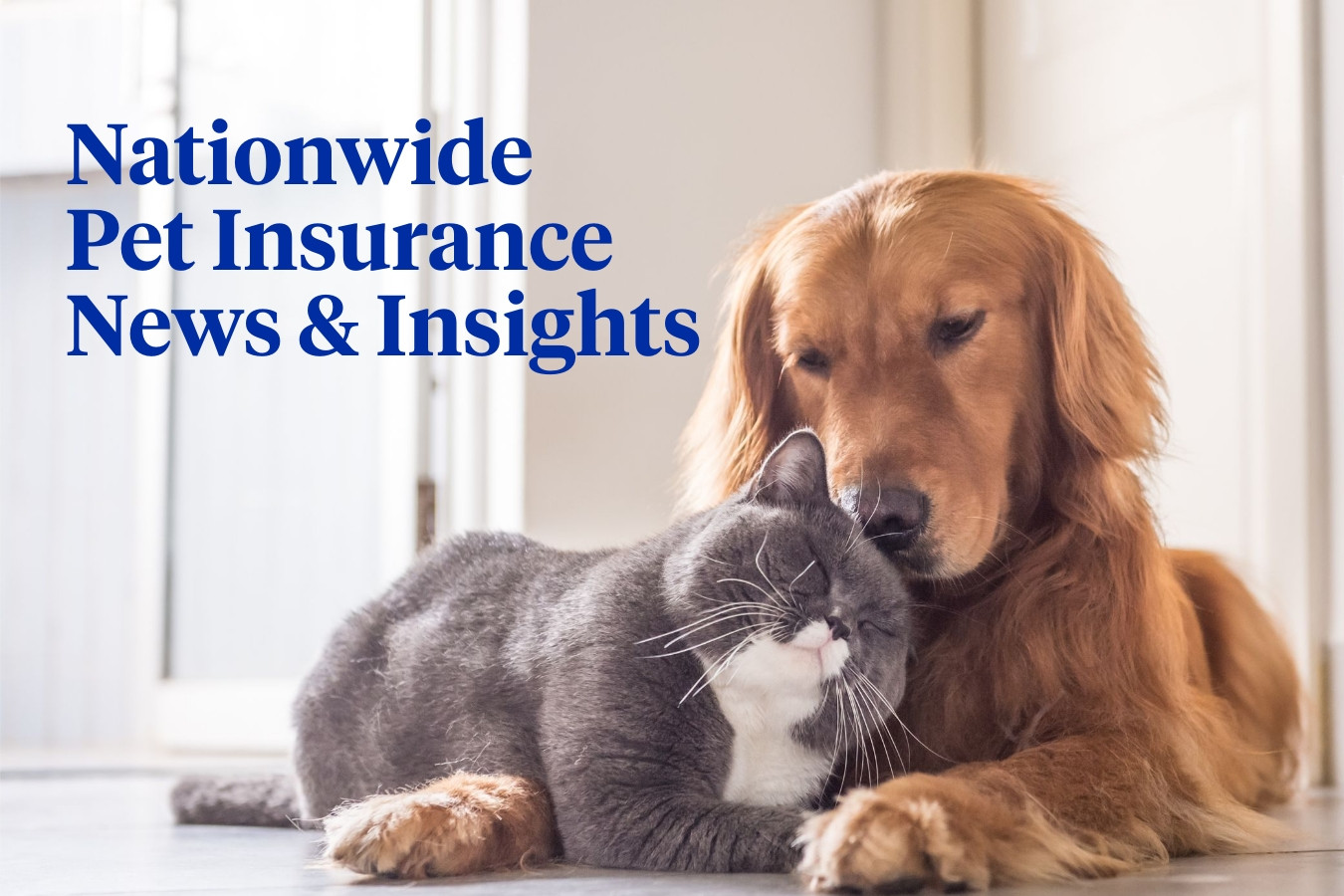 nationwide pet insurance 
