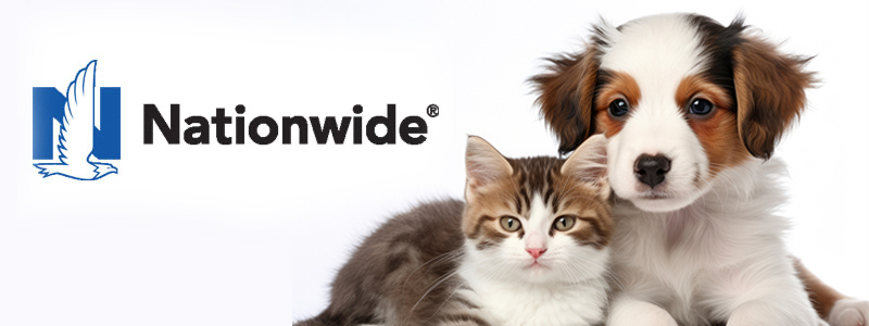 nationwide pet insurance 