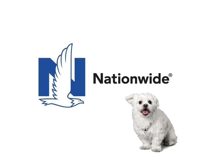 nationwide pet insurance 