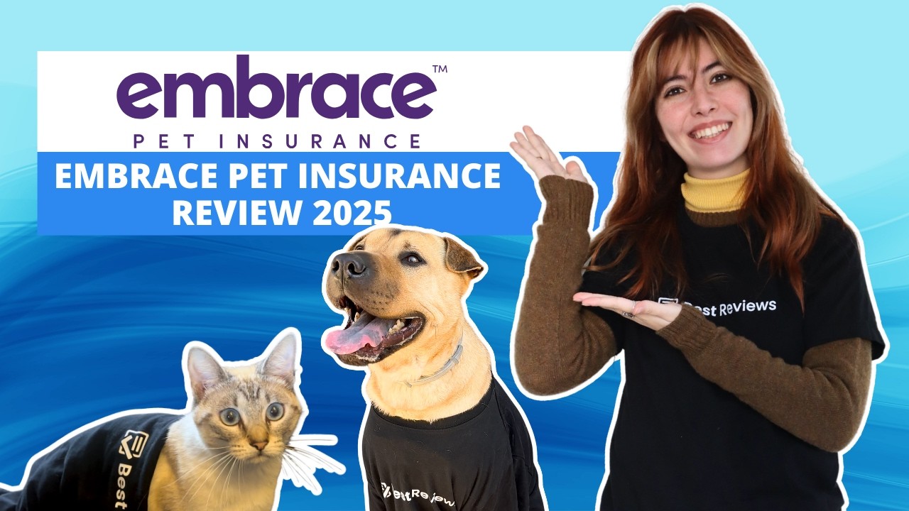 embrace pet insurance