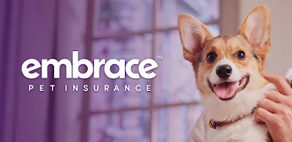 embrace pet insurance